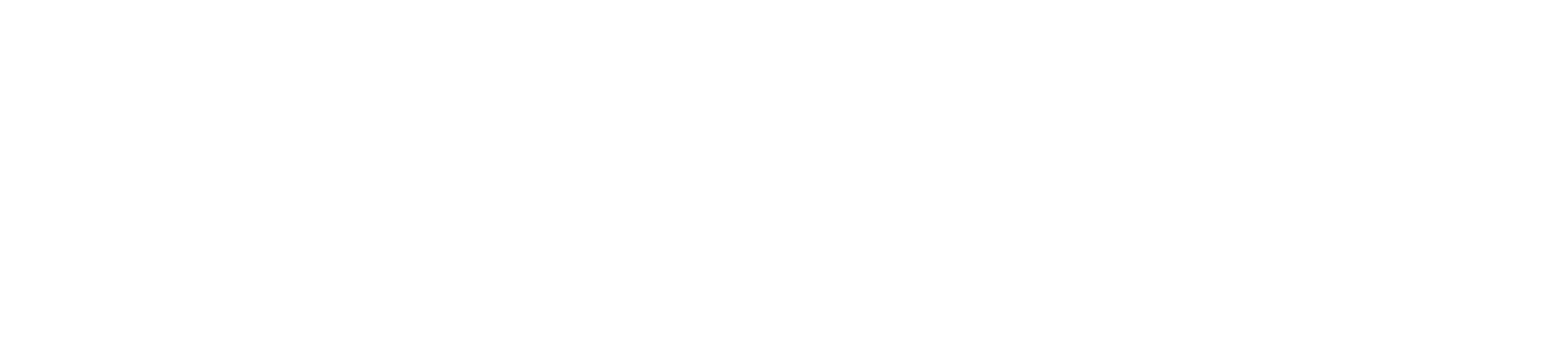 Anji Homes